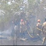 പറമ്പിൽ തീപിടിത്തം ഫയർഫോഴ്സ് എത്തി തീ അണച്ചു