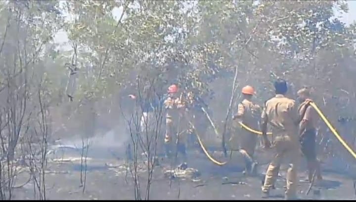 0541f708-12b2-4aec-9192-7b7331493d85