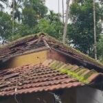 കണ്ണൂർ കൂത്തുപറമ്പ് മൂര്യാട് വീടിന് മുകളിൽ തെങ്ങ് കടപുഴകിവീണ്