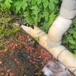 മാലിന്യ പ്രശ്നം: പഴയങ്ങാടിയിൽ കാൽ ലക്ഷം രൂപ പിഴ ഈടാക്കി ജില്ലാ എൻഫോഴ്‌സ്‌മെന്റ് സ്‌ക്വാഡ്