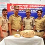 ഓപ്പറേഷൻ തണ്ടർ:3.084 കിലോഗ്രാം കഞ്ചാവ് പിടികൂടി