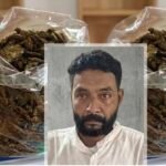 പുതിയതെരുവിൽ കഞ്ചാവുമായി ഒരാൾ അറസ്റ്റിൽ.