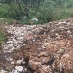 മാലിന്യ സംസ്കരണത്തിൽ വീഴ്ച: പടിയൂരിൽ മൂന്ന് പന്നിഫാമുകൾക്കെതിരെ നടപടി; 52,500 രൂപ പിഴ